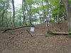 P5162783_thumb.png