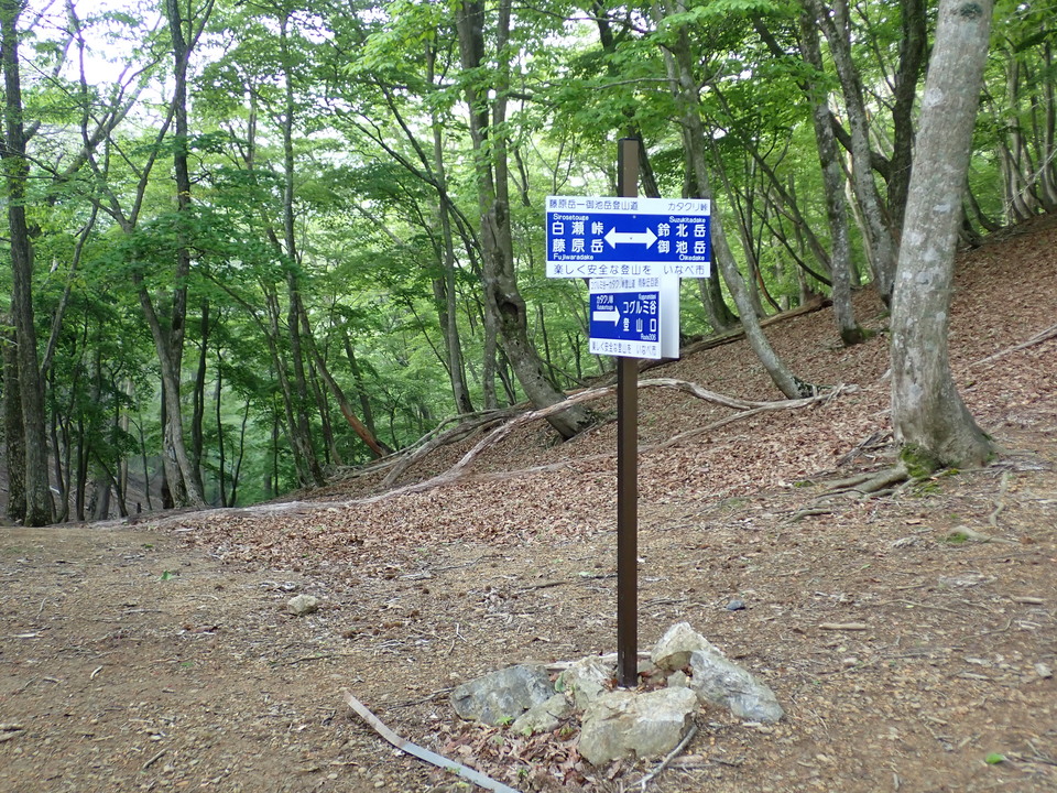 P5162786_mid.jpg