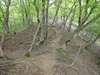P5162794_thumb.png