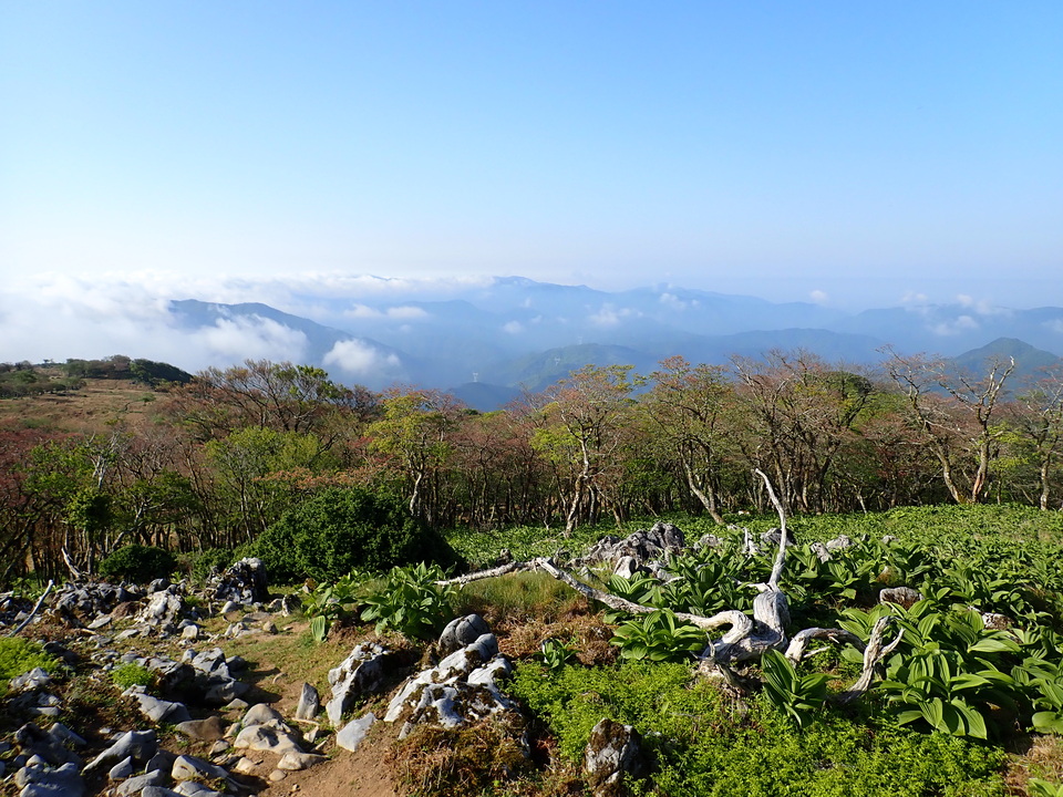 P5162865_mid.jpg