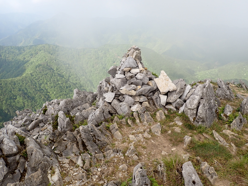 P5162937_mid.jpg