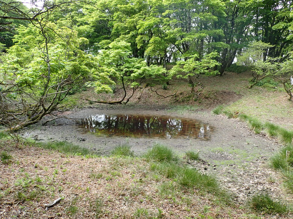 P5162972_mid.jpg