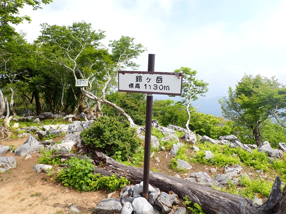 P5162983_mid.jpg