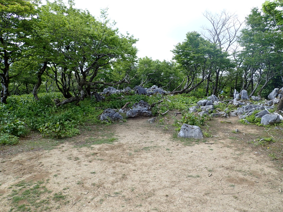P5162986_mid.jpg