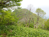 P5162991_thumb.png