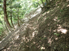 P5163035_thumb.png