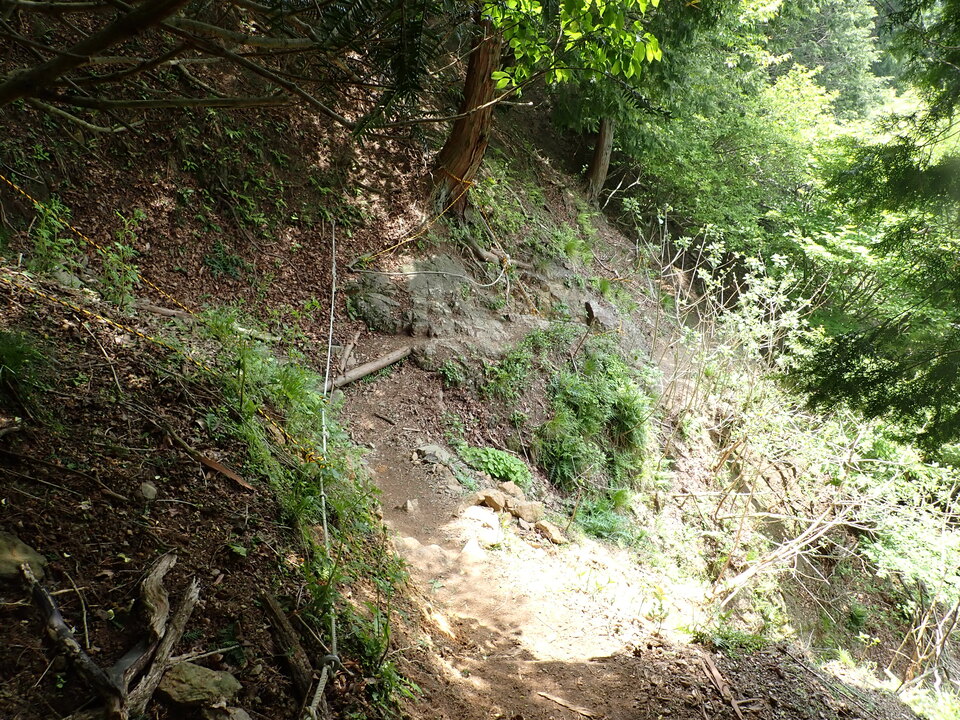 P5163037_mid.jpg