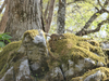 P1070504_thumb.png