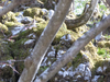 P1070506_thumb.png