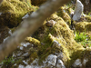 P1070512_thumb.png