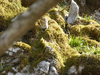 P1070513_thumb.png