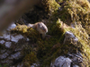 P1070516_thumb.png