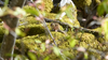 P1070522_thumb.png