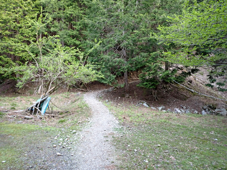 P5050305_mid.jpg