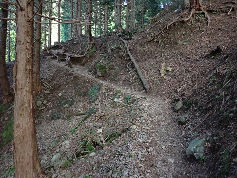 P5050307_mid.jpg