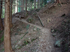 P5050307_thumb.png