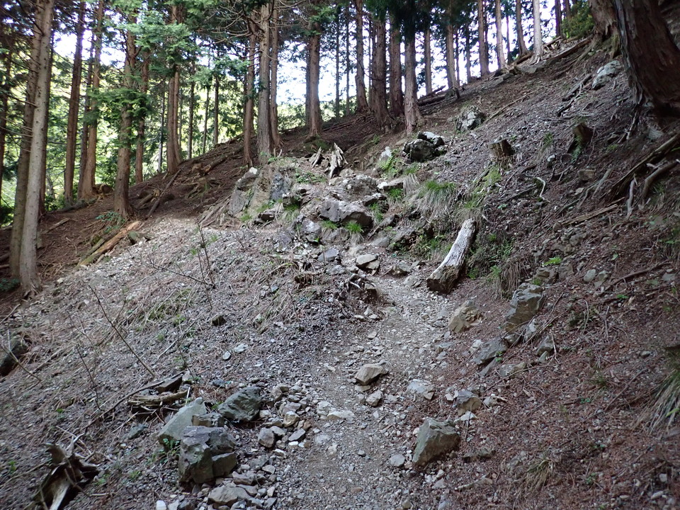 P5050311_mid.jpg