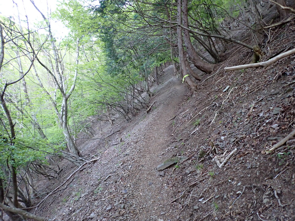P5050315_mid.jpg