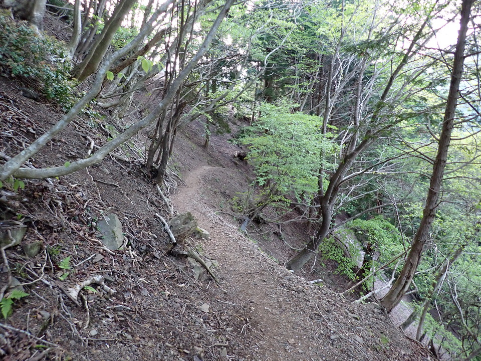 P5050316_mid.jpg