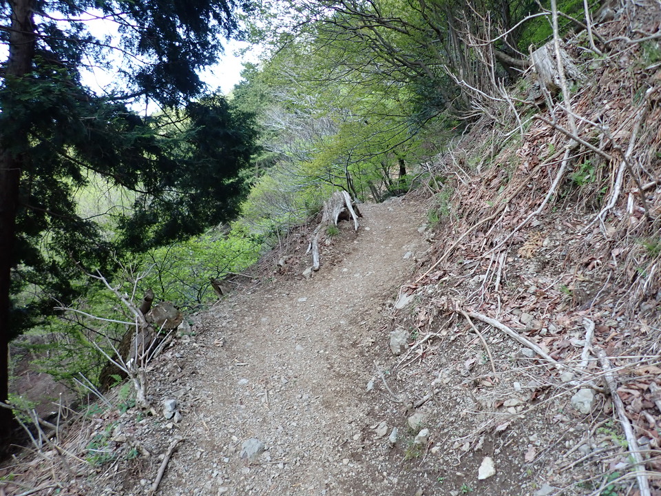 P5050319_mid.jpg