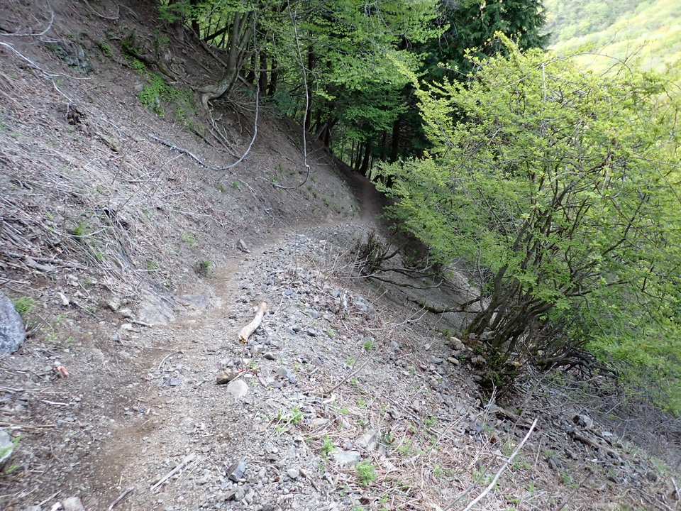 P5050322_mid.jpg