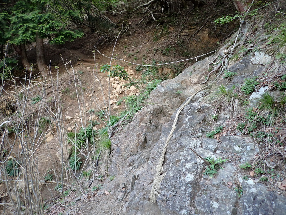 P5050325_mid.jpg