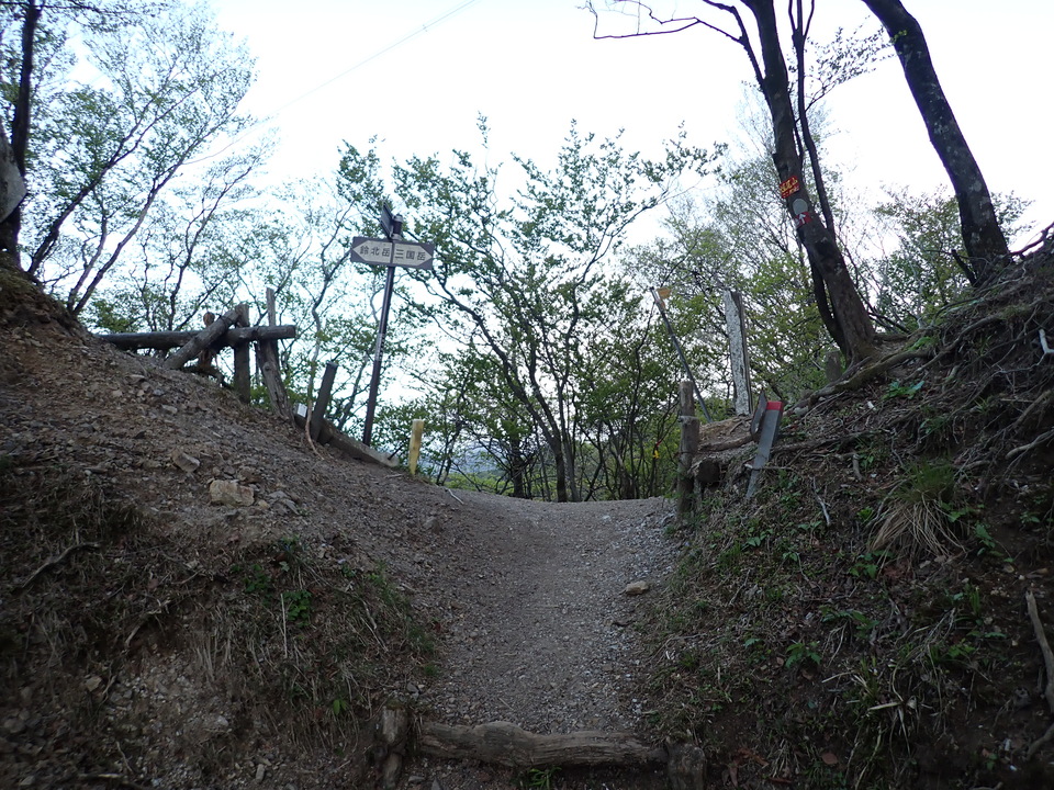 P5050326_mid.jpg