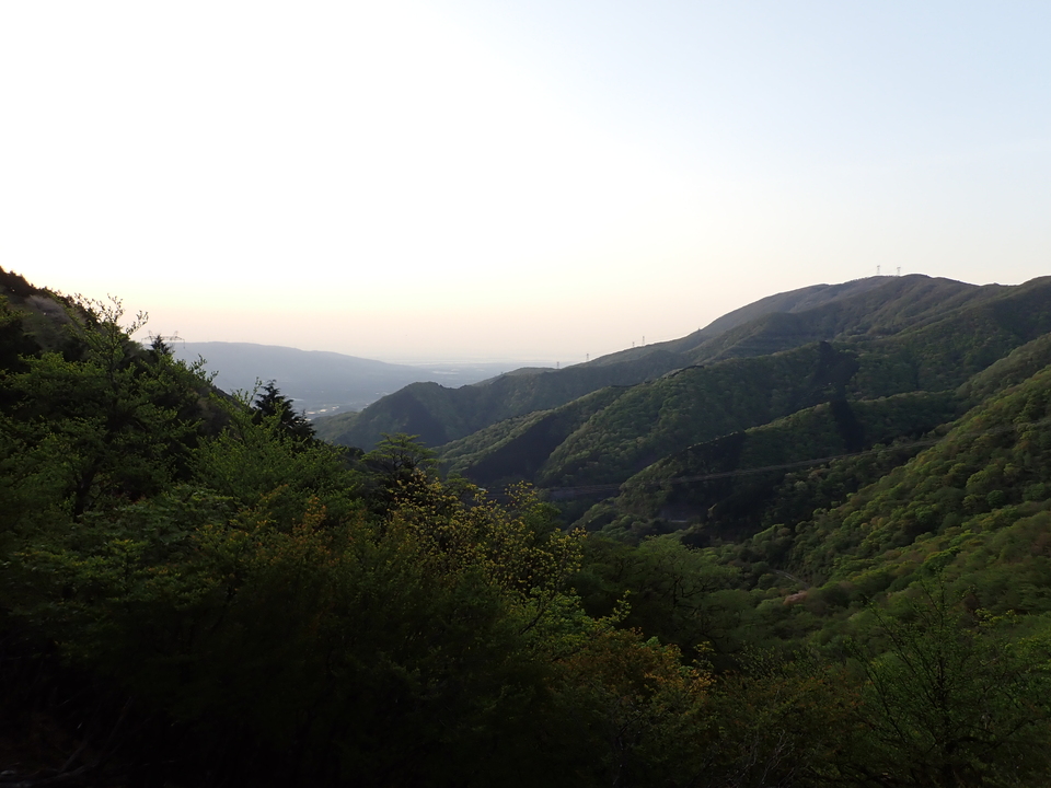 P5050337_mid.jpg