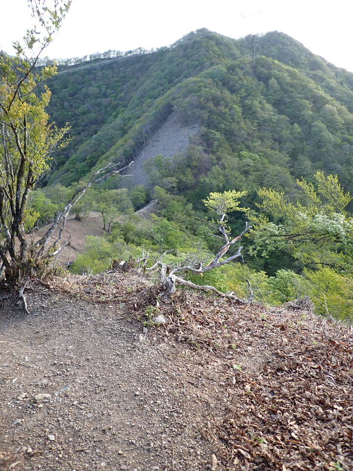 P5050342_mid.jpg