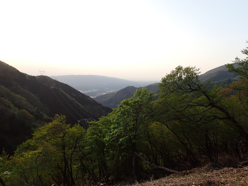 P5050344_mid.jpg