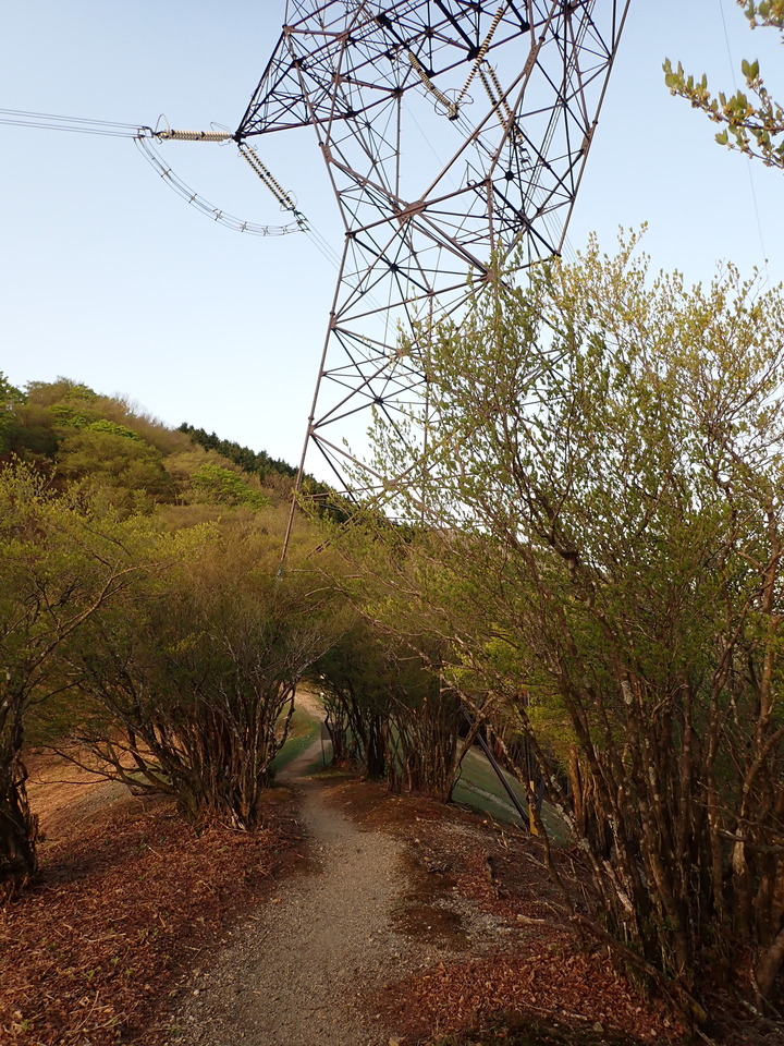 P5050350_mid.jpg