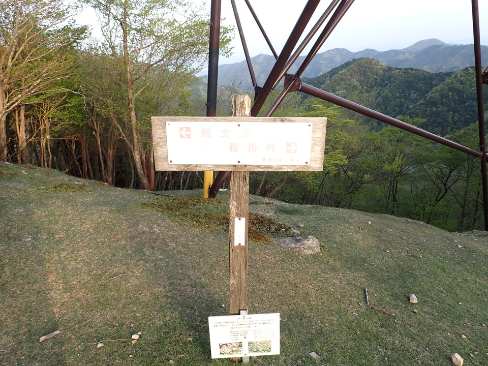 P5050351_mid.jpg