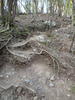 P5050352_thumb.png