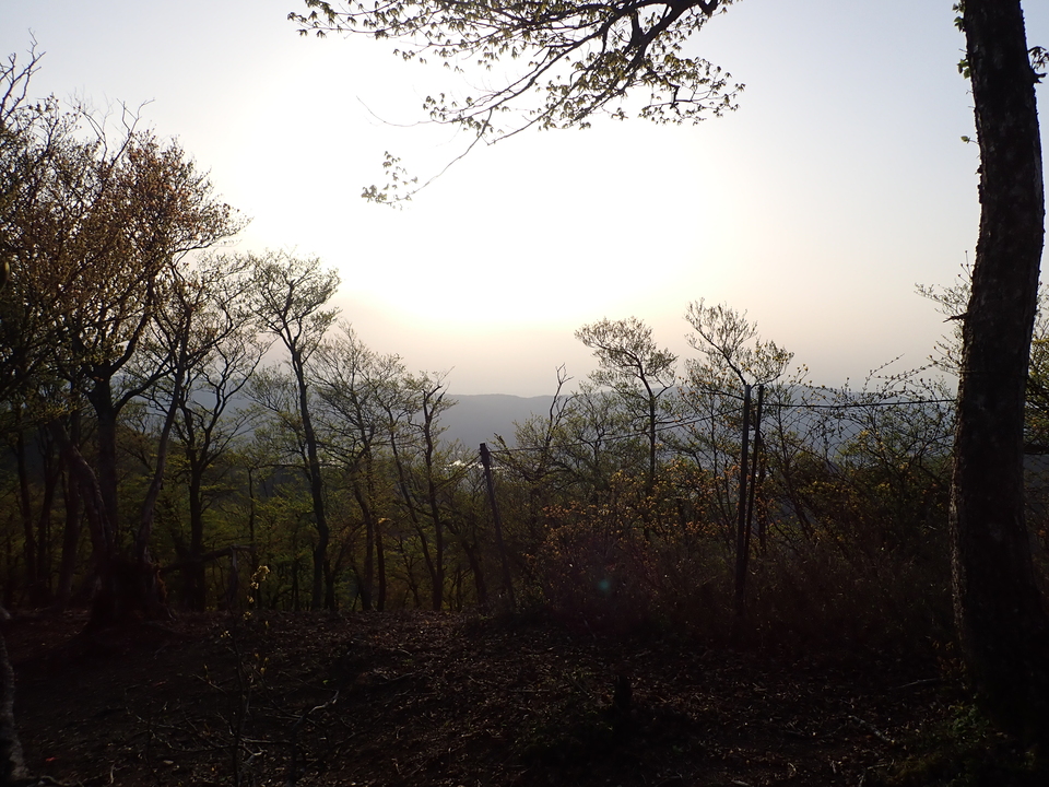 P5050357_mid.jpg