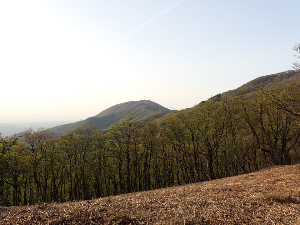 P5050367_mid.jpg