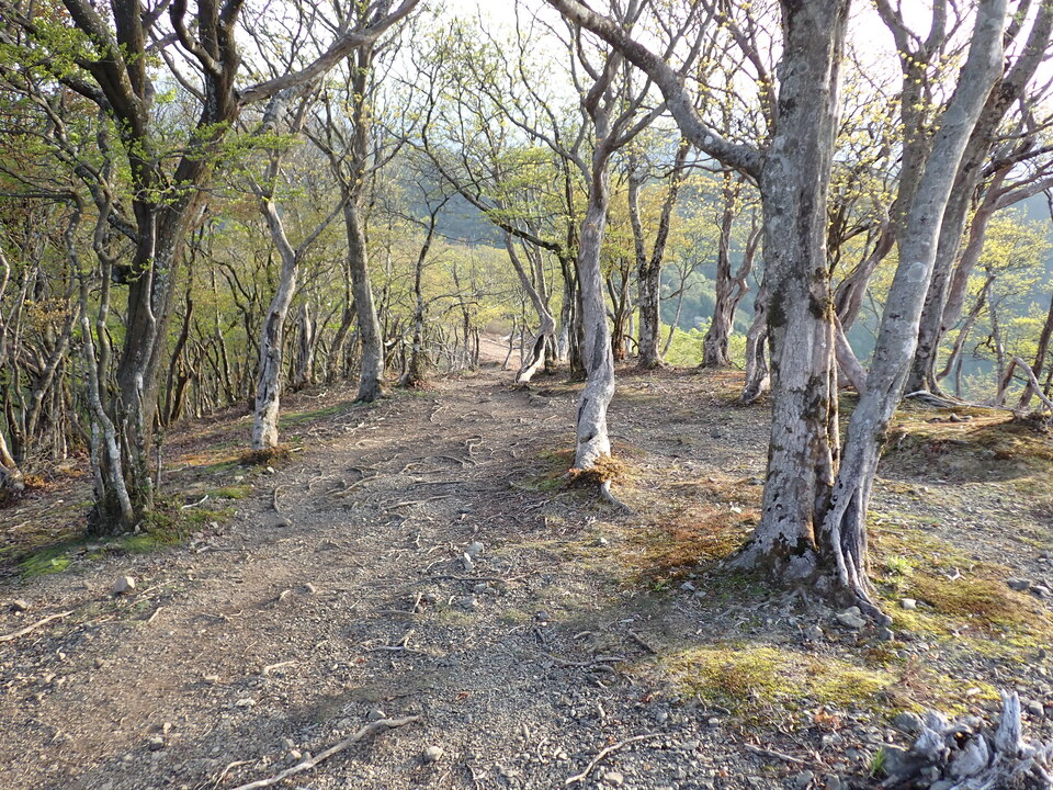 P5050370_mid.jpg