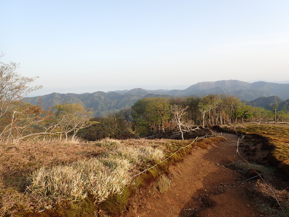P5050385_mid.jpg