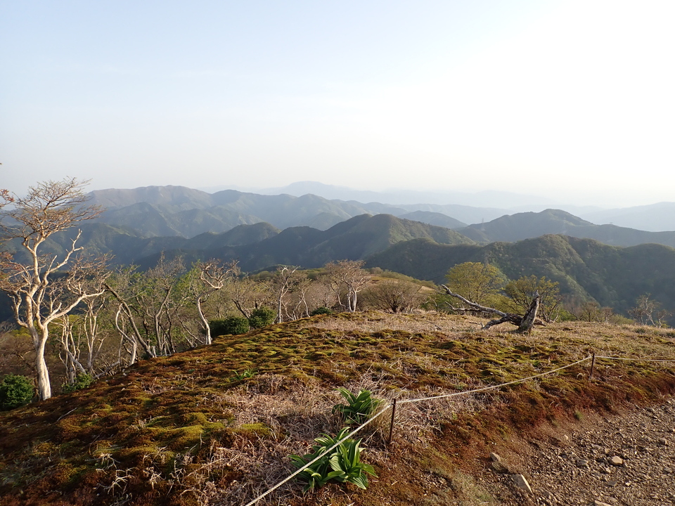 P5050398_mid.jpg