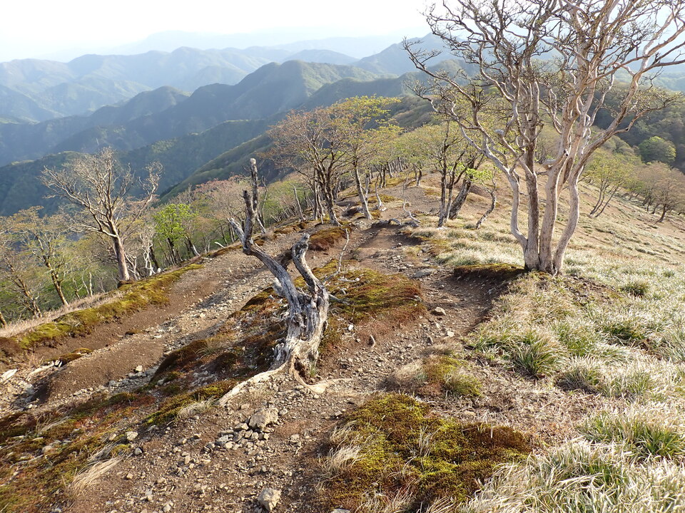 P5050405_mid.jpg