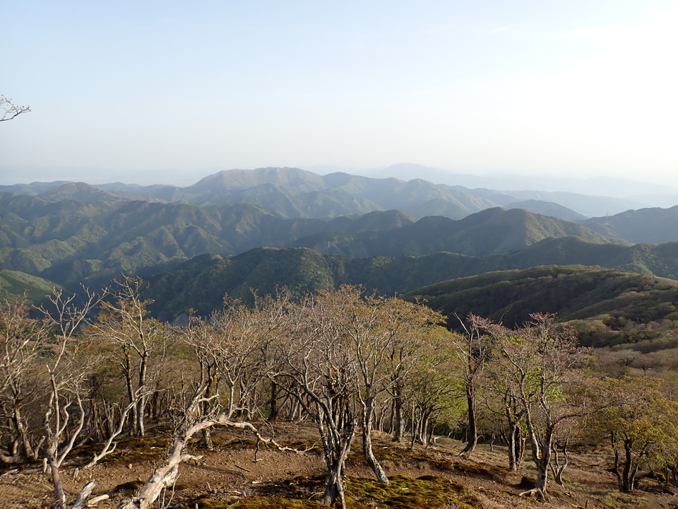 P5050408_mid.jpg