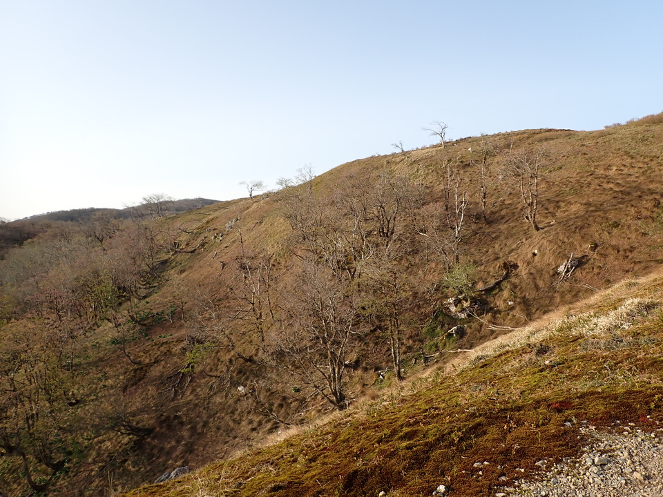 P5050416_mid.jpg