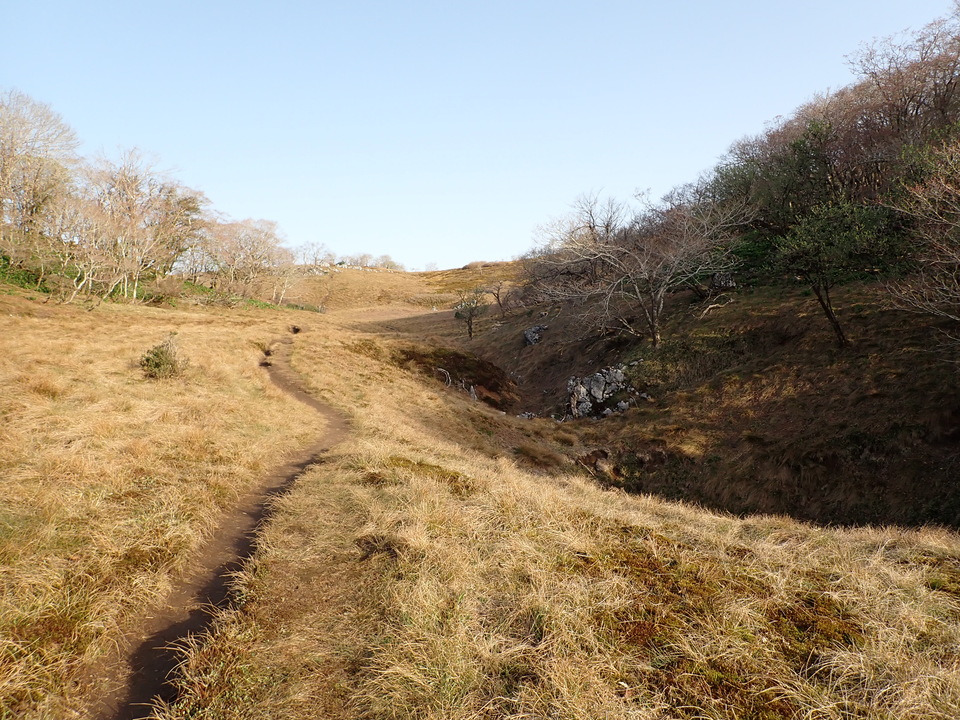 P5050454_mid.jpg