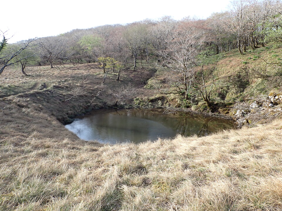 P5050456_mid.jpg