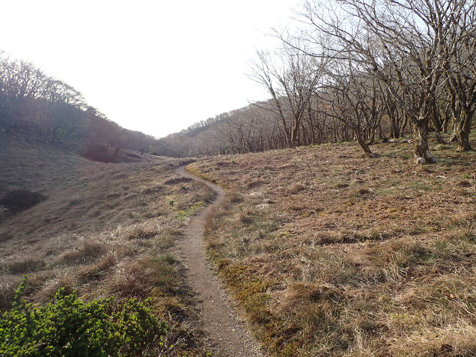 P5050459_mid.jpg