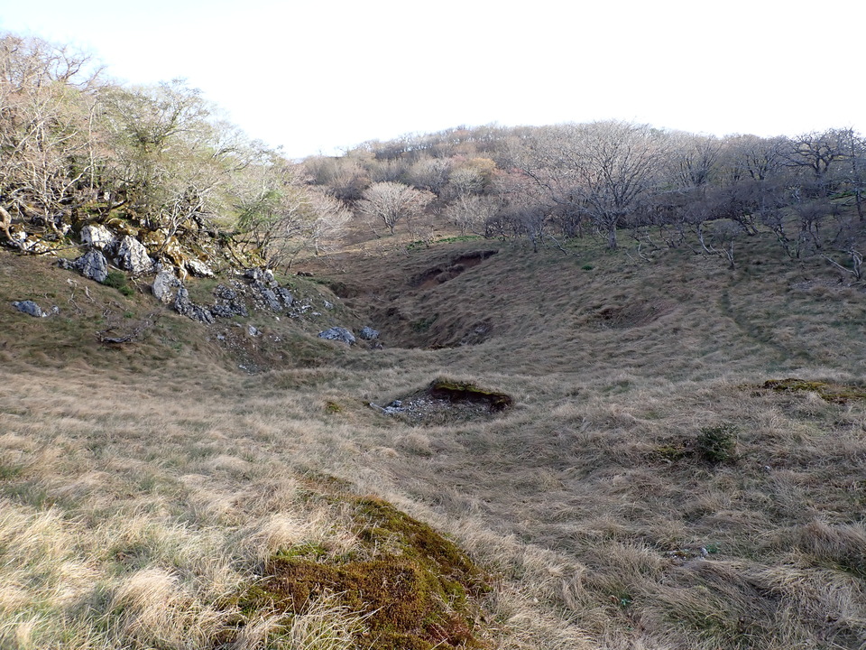 P5050464_mid.jpg