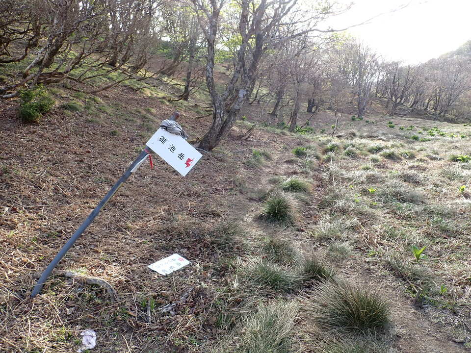 P5050466_mid.jpg