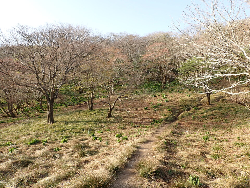 P5050467_mid.jpg