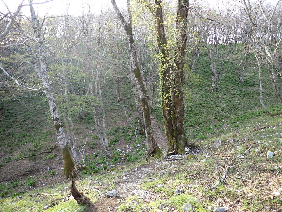 P5050476_mid.jpg