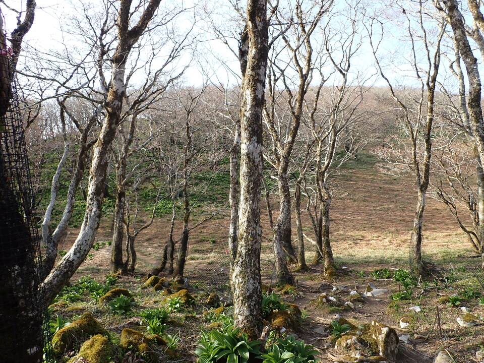 P5050482_mid.jpg