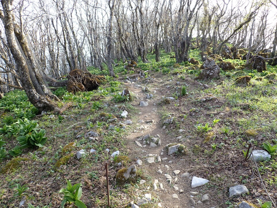P5050483_mid.jpg